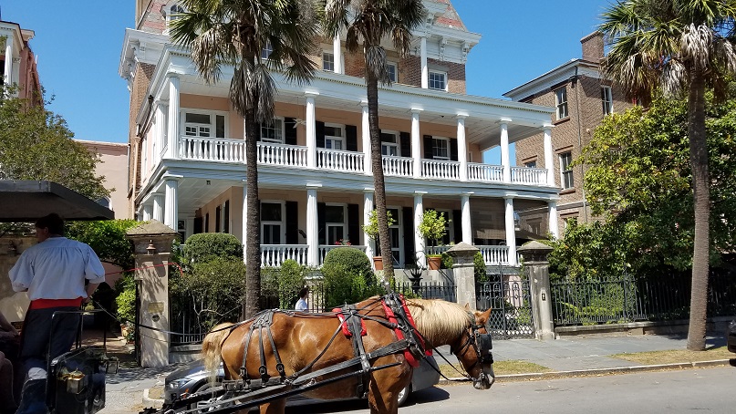 Charleston SC: Horse power